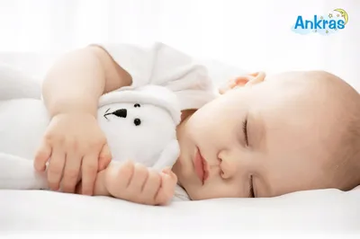 Immagine prodotto di Set Biancheria da Letto per Lettino 90 × 120 cm + Federa 40 × 60 cm – 100% Cotone per Neonato e Bambino