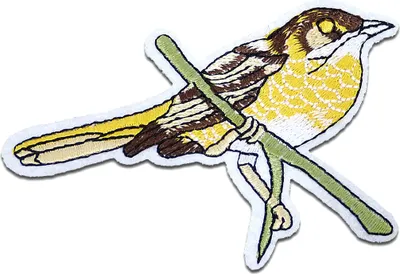 Produktbild von Vogel Auf Ast - Aufnäher, Bügelbild, Aufbügler, Applikationen, Patches, Flicken, Zum Aufbügeln, Größe: 8,9 x 6,5 cm