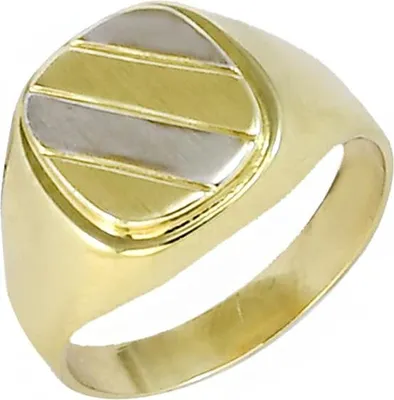 Produktbild von Herren Ring aus 14 Karat Gelb- und Weißgold, Ringgröße 65, Serie 1512