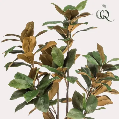 Obrázek produktu pro Umělá rostlina Magnolia Grandiflora ↕150 cm – umělá zelená rostlina do obývacího pokoje, kanceláře, předsíně a nenáročná dekorace