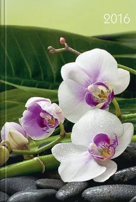 Immagine prodotto di Lady-Timer Orchidee 2016