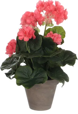Produktbild von Mica Decorations Geranie Kunstpflanze in Blumentopf - H34 x Ø20 cm - Lachsrosa