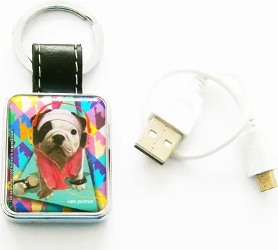 Produktbild von USB-FEUERZEUG Schlüsselanhänger in Box Teo Jasmin Hund Glühspirale Igniter 82(Motiv O)