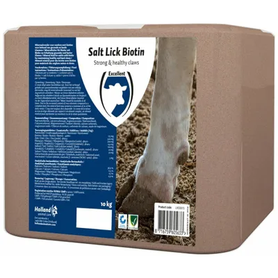 Productafbeelding van BIOTINE Liksteen