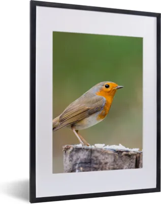 Produktbild von MuchoWow® Gerahmtes Poster Tiere - Vogel - Rotkehlchen 30x40 cm - Poster mit Schwarzem Bilderrahmen Wandposter Rahmen Foto Bilder - Wandposter Schlafzimmer