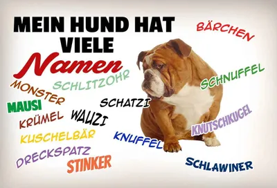 Produktbild von vianmo Holzschild 12x18 cm mein Hund hat viele Namen Tier Haustier