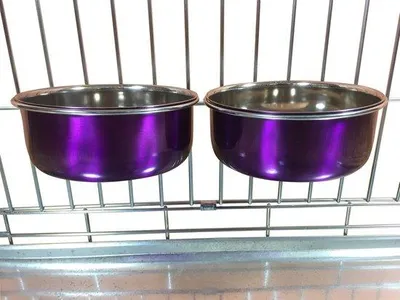 Immagine prodotto di Contenitori per alimenti per cani da utilizzare su furgoni, gabbie o trasportini, 1 paio