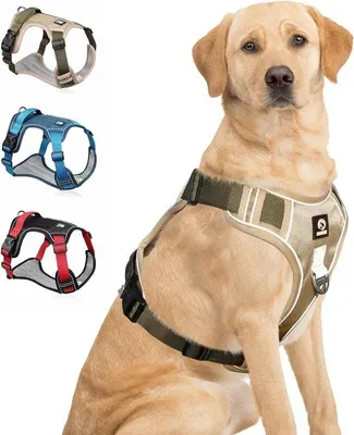 Image de Harnais réfléchissant réglable avec poignée - Respirant et confortable pour les petits et grands chiens