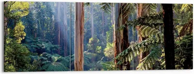 Produktbild von Bild auf Leinwand - Leinwandbild - 3 Teile - Morgendämmerung Bäume Wald - 150x50cm - Wand Bild - Wanddeko - Wandbilder - Leinwanddruck - Bilder - Wanddekoration - Leinwand bilder - CA150x50-4403