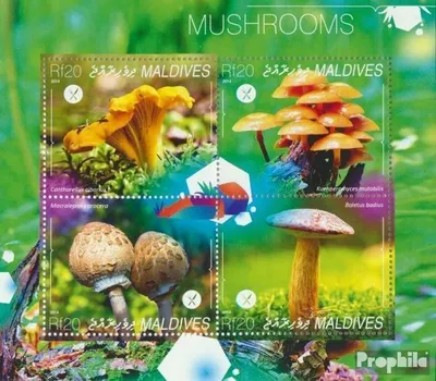 Produktbild von Briefmarken Malediven 2014 Mi 5395-5398 Kleinbogen (kompl. Ausg.) postfrisch Pilze