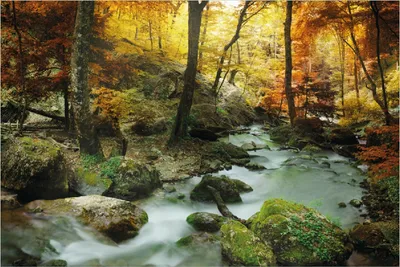 Produktbild von Wallario selbstklebendes Poster - Wasserfall mit moosbedeckten Steinen im Herbstwald, Größe: 100 x 150 cm
