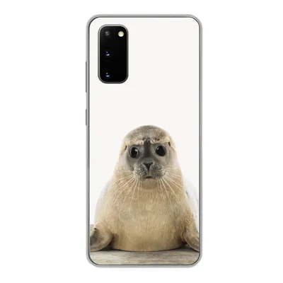 Produktbild von MuchoWow® Handyhülle Schutzhülle Hülle für Samsung Galaxy S20 Robbe - Tiere - Kinder - Jungen - Mädchen - Kinder Silikon Softcase Handy Hülle - Bild