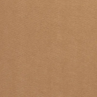 Produktbild von Filz Phillip 3mm Beige 450 g/m², 0,25m, Stoffe Meterwaren, Bastelfilz