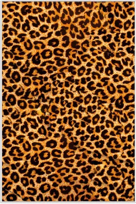 Produktbild von Wallario Wandbild Leopardenmuster  in orange schwarz, Größe: 61 x 91,50 cm, Poster mit weißem Aluminiumrahmen