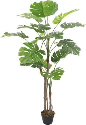 Zdjęcie produktu dla Rebecca Mobili Sztuczna roślina Monstera Merah 155x50x50 PEVA Polietylen Zielony Brązowy