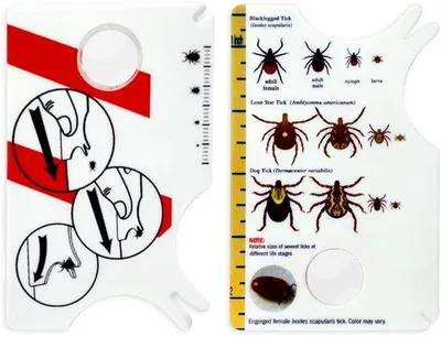 Produktbild von Kunststof-Tekeningen-Entferner-Set mit Vergrößerungsglas für Haustiere - 2er Pack - 8,5 x 5,4 cm