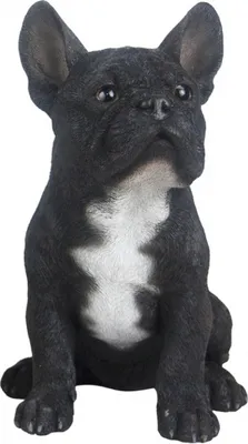 Immagine prodotto di Bulldog francese 30,4 x 24,5 cm in poliresina nera