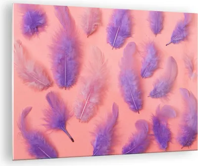Produktbild von Bilder auf glas - Vogel Feder Farbe Komposition - 70x50cm - Glasbilder - Wandbilder - Kunstdruck - zum Aufhängen bereit - Wanddekoration aus Glas - Glas Bilder - Wandbild auf Glas - GAA70x50-2922