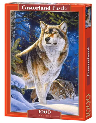 Produktbild von Castorland Sentinel, Puzzle 1000 Teile