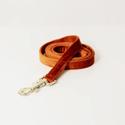 Obrázok produktu pre Kentucky Dogwear Hundeleine Velvet 120 cm Veľkosť L Oranžová