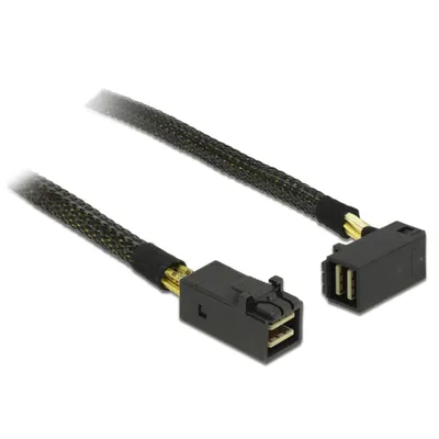 Produktbild von DeLOCK 0.5m, 2xMini SAS HD SFF-8643, 0,5 m, Mini SAS HD SFF-8643, Mini SAS HD SFF-8643, Männlich/Männlich, Schwarz