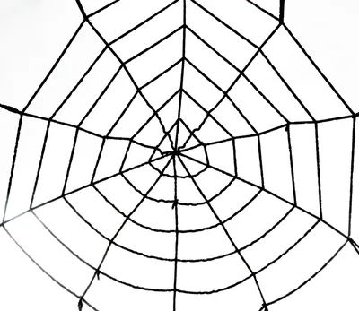 Produktbild von Halloween Riesenspinnennetz "Gigant" 150 cm in schwarz Spinnengewebe Party Deko