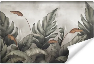 Zdjęcie produktu dla Fototapeta Do Sypialni LIŚCIE Rośliny Natura Beton Abstrakcja Dekoracja z modnym efektem 3D 152.5x104cm