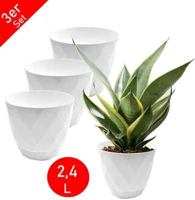 A set of white plant pots with a snake plant in one of them, set against a white background.