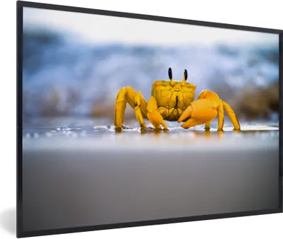 Produktbild von MuchoWow® MuchoWow® Gerahmtes Poster Krabbe - Strand - Meer 90x60 cm - Poster mit zchwarzem Bilderrahmen - Fotorahmen - Foto-Plakat