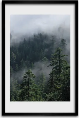 Produktbild von Bild - Bilderrahmen - 40 cm x 60 cm - MDF - Rahmen - Wandkunst - Nebel über dem Wald