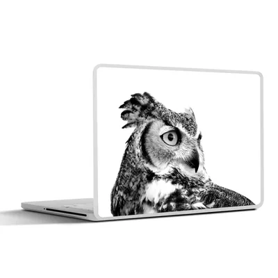 Produktbild von MuchoWow® Laptop Aufkleber Sticker Cover Braune Eule mit weißem Hintergrund - schwarz und weiß 31x22.5 cm - Laptop-Deko