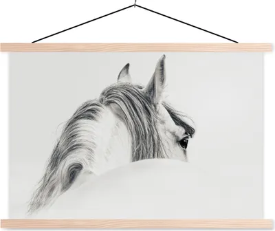 Produktbild von MuchoWow® Textilposter Pferd - Weiß - Tier 60x40 cm mit holzfarbenen Rahmen - Bilder