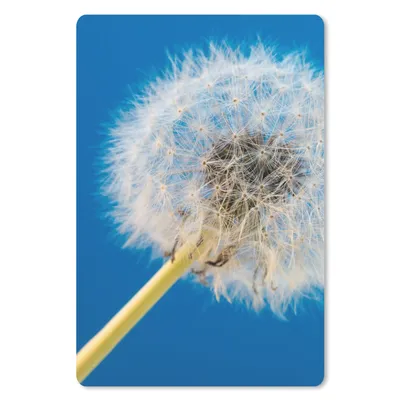 Produktbild von MuchoWow® Mauspad Mousepad Löwenzahn - Blume - Terrasse 18x27 cm - Mousepads - Maus Mat - Pad - Mausunterlage