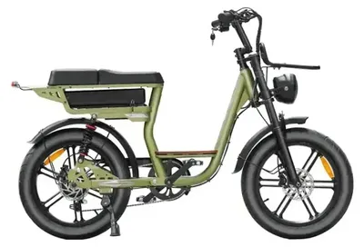 Image de V20 Comfort - Fatbike électrique avec antivol à chaîne - 20 pouces - Moteur 250W - Autonomie 60 km - 7 vitesses - Freins à disque hydrauliques - Batterie 720Wh - Cadre bas - Double suspension - Vert