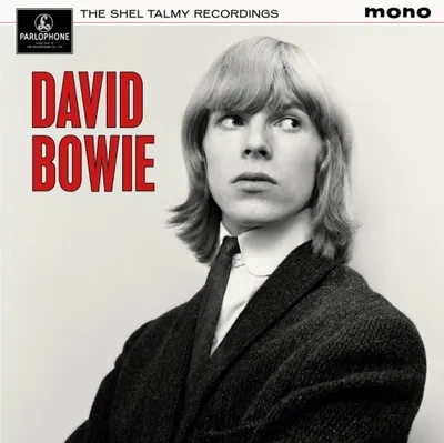 Zdjęcie produktu dla David Bowie - The Shel Talmy Recordings (180 g) (LP)