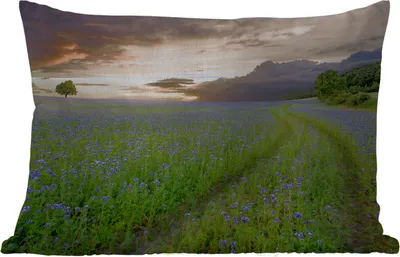 Produktbild von MuchoWow® Outdoor Kissen - Sonnenuntergang - Blumen - Farben - 50x30 cm - Wetterfest - Lounge Kissen - Sofa kissen - Wohnzimmer Dekoration