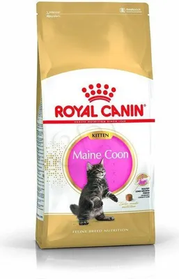 Zdjęcie produktu dla Royal Canin Maine Coon Kitten karma sucha dla kociąt, do 15 miesiąca, rasy maine coon 400g