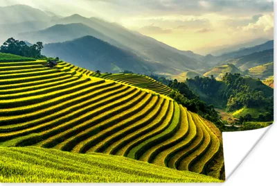 Produktbild von MuchoWow® Poster Terrassen von Reisfeldern mit einer Berglandschaft im Hintergrund in Vietnam 90x60 cm - Schlafzimmer