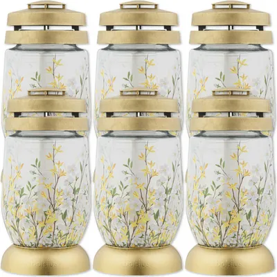 Obrázok produktu pre Bolsius 3S 14 Forsythia sviečka vložka 36h 1,5 dňa 6 kusov