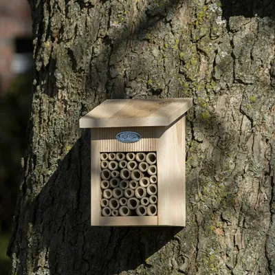 Produktbild von Zauberhaftes Bienenhaus, Bienenhotel aus Erlenholz, Landhaus Stil