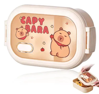 Lunchbox 1100 ml, 2 Fächer, Klickverschluss, spülmaschinengeeignet