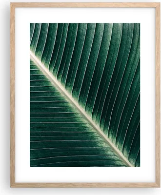 Produktbild von Gerahmtes Poster - Rahmen in heller Eiche - Grün Blatt Tropisch - 40x50 cm - Wand Bild - Wanddeko - Wandbilder - Wandposter - Bilderrahmen - Bilder - Kunstdruck - Wandbild - P2NPA40x50-4126