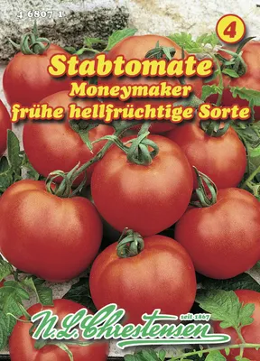 Produktbild von Stabtomate Moneymaker | Stabtomatensamen von N.L. Chrestensen