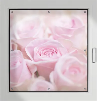 Produktbild von Wallario Lichtschutzbild, Dekorativer Sichtschutz Sonnenschutz 96 x 100 cm mit Motiv: Rosafarbene Rosenblüten im Strauß - Verdunklung ohne Bohren