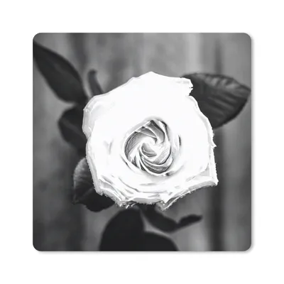 Produktbild von MuchoWow® Mauspad Mousepad Rose - Blumen - Blätter - Schwarz - Weiß 20x20 cm - Mousepads - Maus Mat - Pad - Mausunterlage - Desk Mat - Bureauartikeln