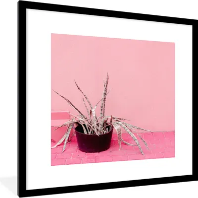 Produktbild von MuchoWow® Gerahmtes Poster Sommer - Rosa - Pflanzen 40x40 cm - Poster mit Schwarzem Bilderrahmen Wandposter Rahmen Foto Bilder - Poster - Plakat im Rahmen