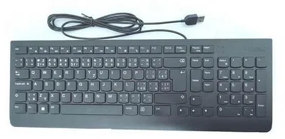 Obrázok produktu pre Lenovo Essential, Plná veľkosť (100 %), Kábel, USB, Čierna
