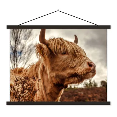 Produktbild von MuchoWow® Textilposter Scottish Highlander - Strauch - Heidekraut 120x90 cm mit schwarzem Rahmen - Aufhänger für Poster
