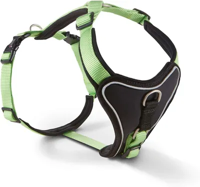 Image de Harnais Wolters Professional Comfort, Taille:40 - 45 cm, Couleur:kiwi/noir