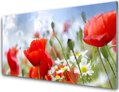 Produktbild von Acrylglasbilder 100x50 Wandbild Druck Mohnblumen Gänseblümchen Pflanzen